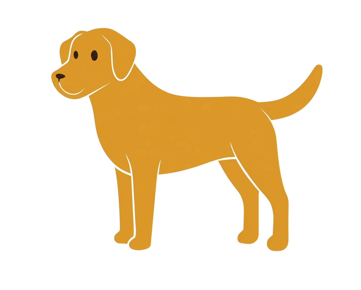 Ruadh the red dog